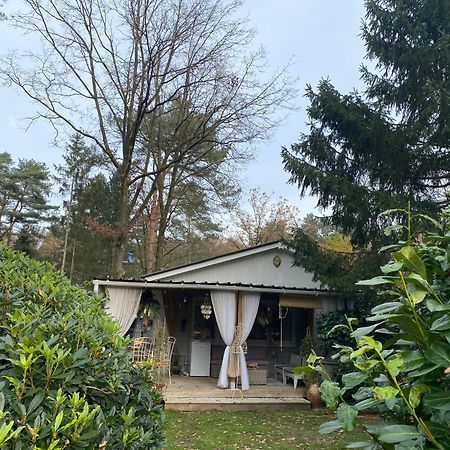 Chalet Sint Barbara Зутендал Екстериор снимка
