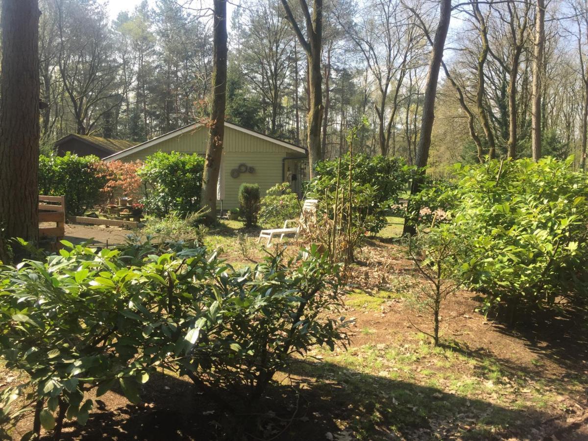 Chalet Sint Barbara Зутендал Екстериор снимка